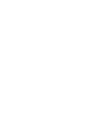 biricutico